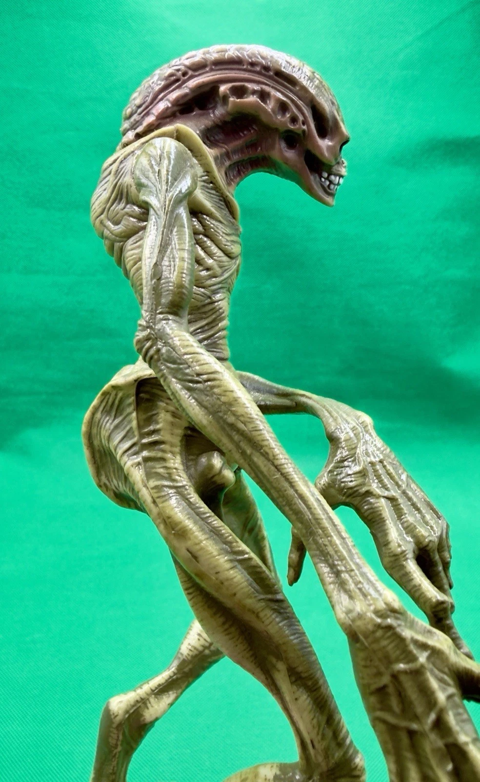 Alien Resurrection Newborn Hybrid - Image 2