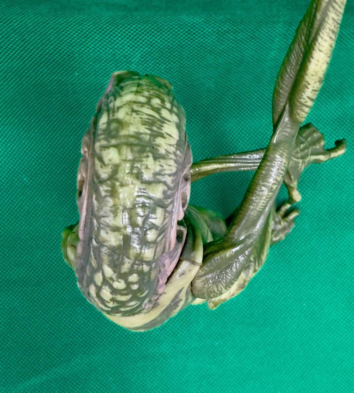 Alien Resurrection Newborn Hybrid - Image 4